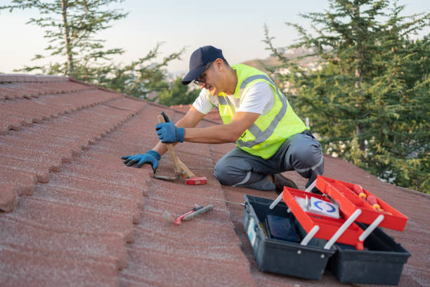 Best Metal Roofing Contractor  in Emigration Canyon, UT